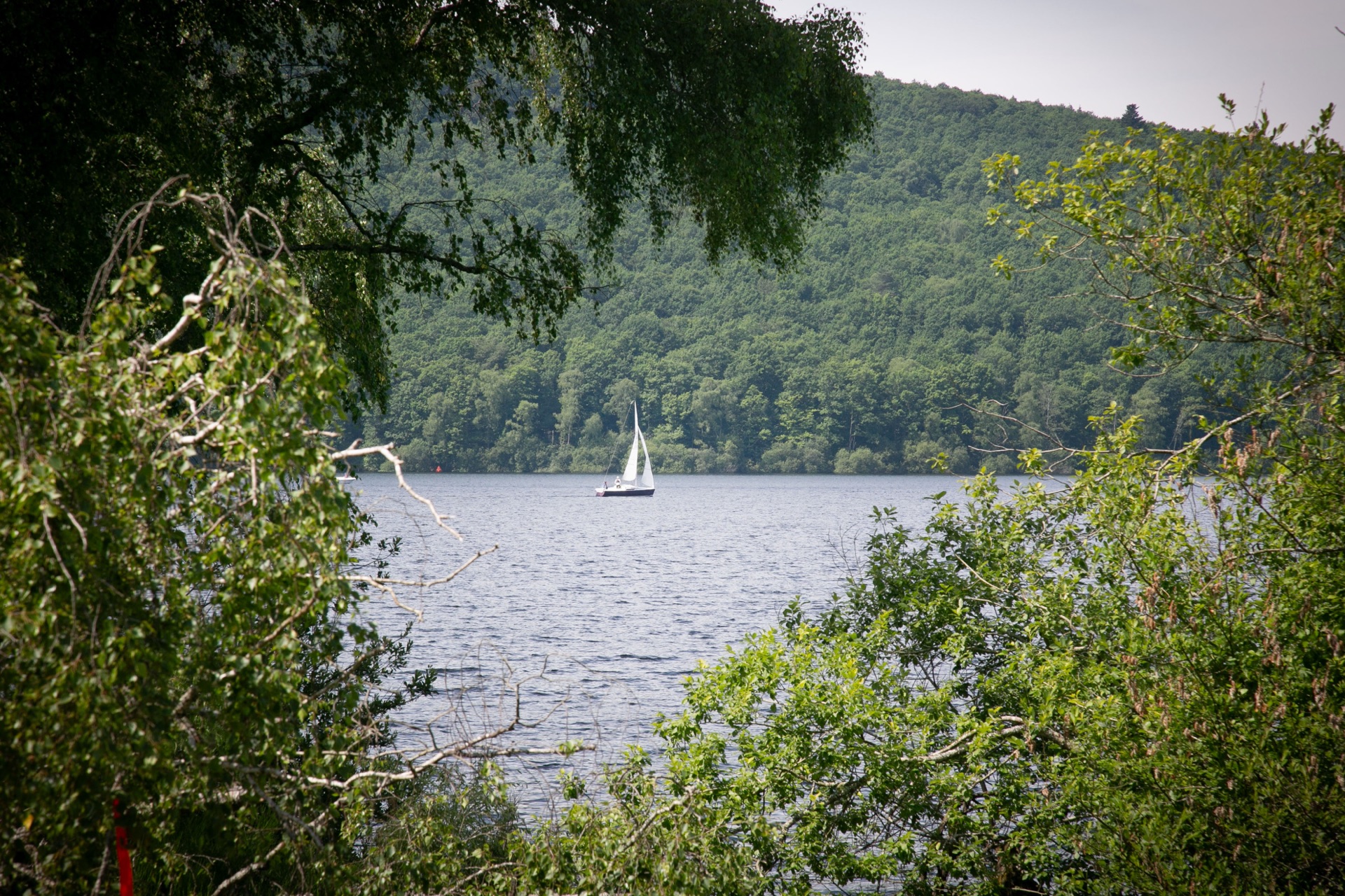 SwimRun Vassivière 13